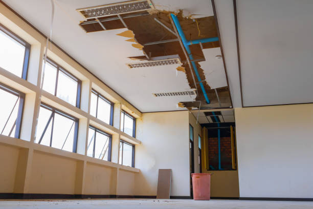 Best Water damage cleanup near me  in Pewee Valley, KY