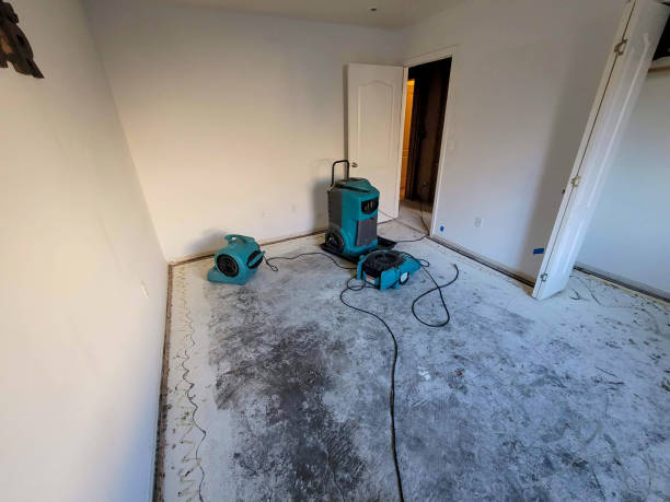 Best Local water damage restoration  in Pewee Valley, KY