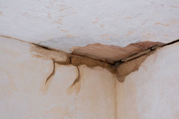 Local water damage restoration in KY