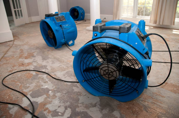 Best Water damage cleanup near me  in Pewee Valley, KY