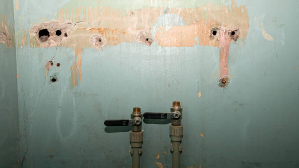 Best Emergency water damage restoration  in Pewee Valley, KY