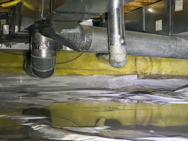 Best Flood damage cleanup  in Pewee Valley, KY