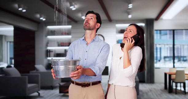 Best Local water damage restoration  in Pewee Valley, KY