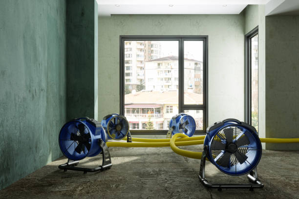Best Ceiling water damage repair  in Pewee Valley, KY